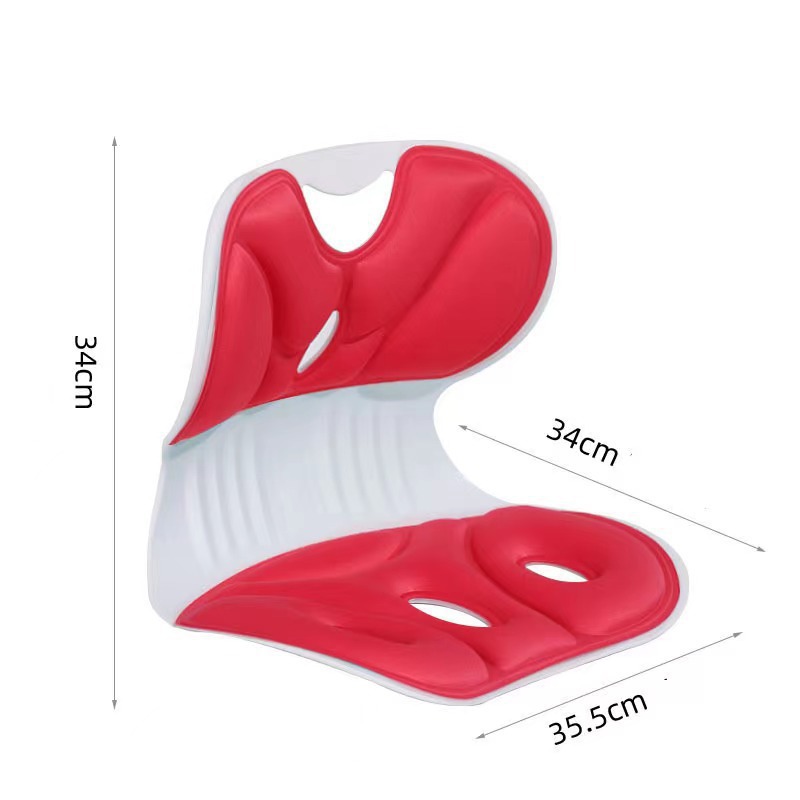 Lumbar Support Cushion Memory  - đánh giá và giá Office Chair Cushion