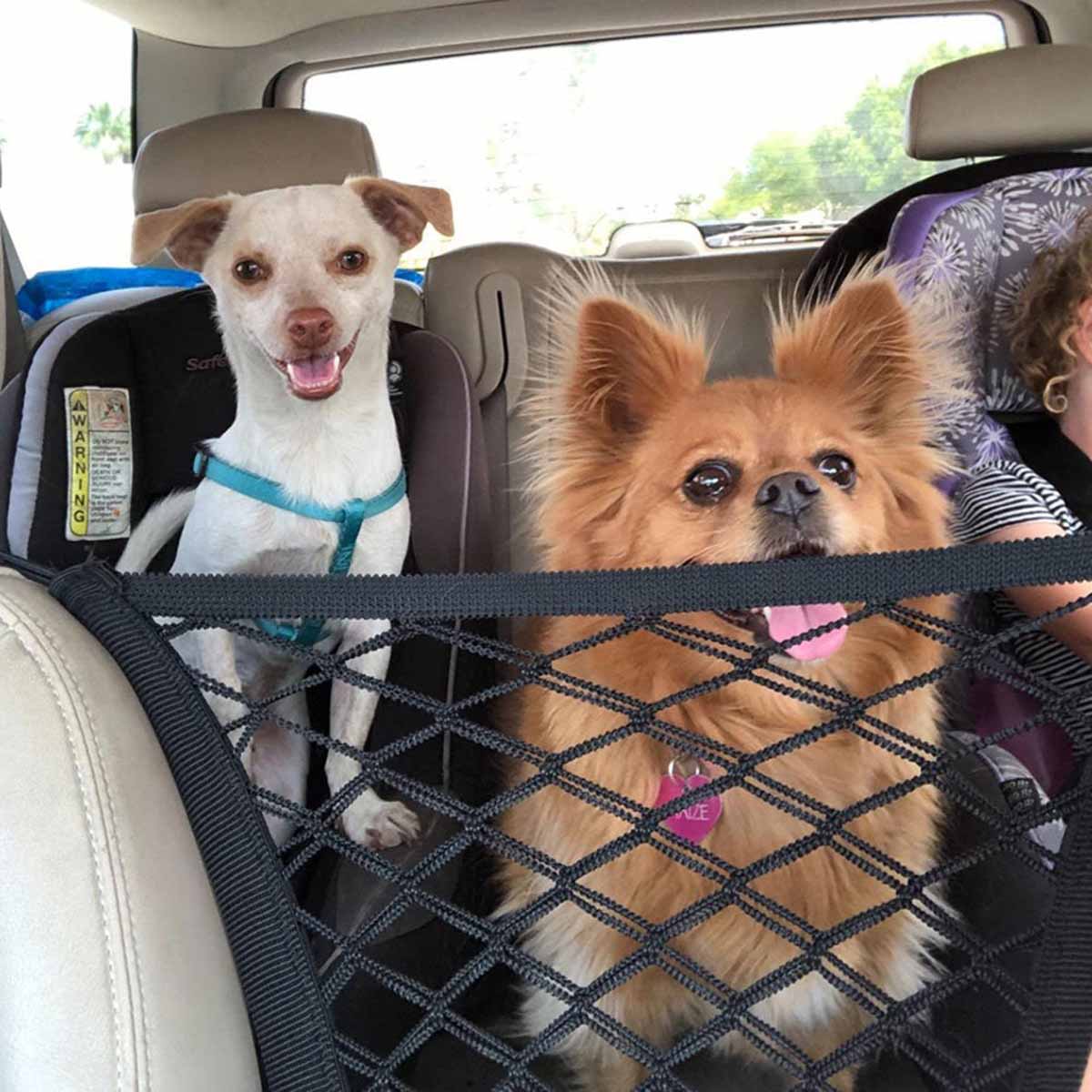 Pet Dog Rear Seat Car Fence Do - đánh giá và giá Partition Screen Divider