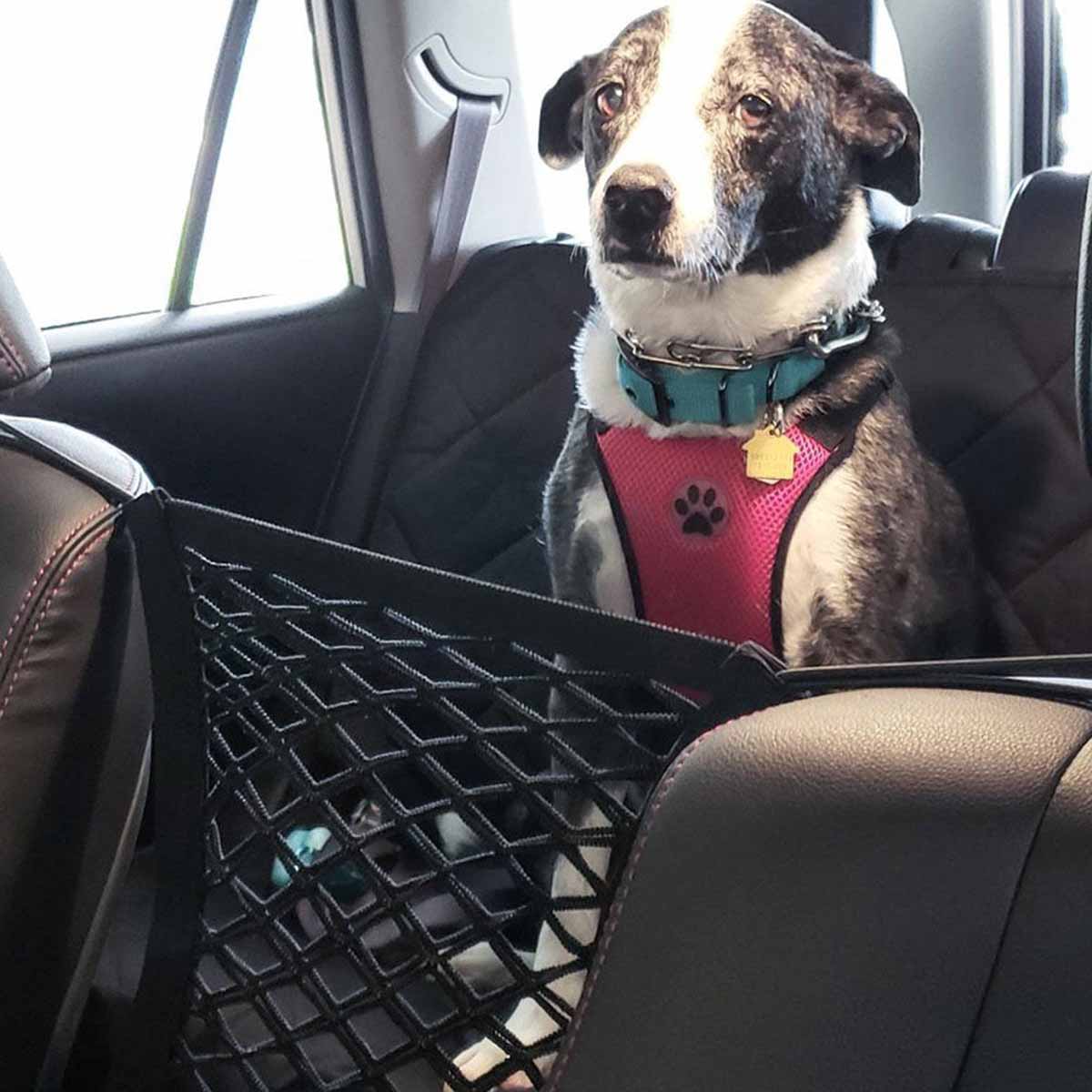 Pet Dog Rear Seat Car Fence Do - đánh giá và giá Partition Screen Divider